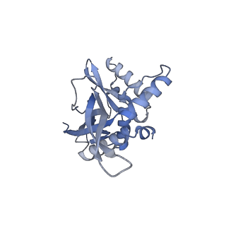 13845_7q5r_HB_v1-3
Protein community member pyruvate dehydrogenase complex E2 core from C. thermophilum