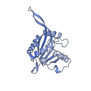 13845_7q5r_IA_v1-3
Protein community member pyruvate dehydrogenase complex E2 core from C. thermophilum