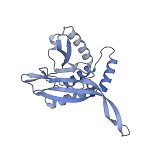 13845_7q5r_IB_v1-3
Protein community member pyruvate dehydrogenase complex E2 core from C. thermophilum