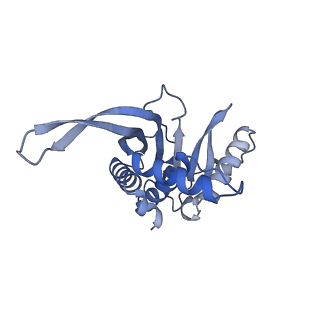 13845_7q5r_JA_v1-3
Protein community member pyruvate dehydrogenase complex E2 core from C. thermophilum