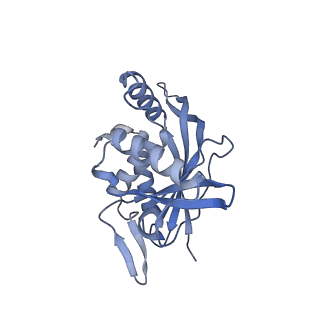 13845_7q5r_J_v1-3
Protein community member pyruvate dehydrogenase complex E2 core from C. thermophilum