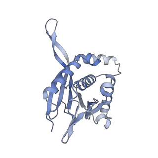 13845_7q5r_KA_v1-3
Protein community member pyruvate dehydrogenase complex E2 core from C. thermophilum