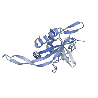 13845_7q5r_K_v1-3
Protein community member pyruvate dehydrogenase complex E2 core from C. thermophilum