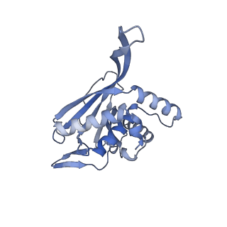 13845_7q5r_LA_v1-3
Protein community member pyruvate dehydrogenase complex E2 core from C. thermophilum
