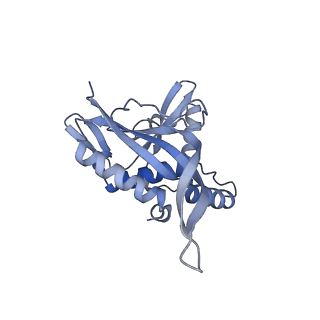 13845_7q5r_MA_v1-3
Protein community member pyruvate dehydrogenase complex E2 core from C. thermophilum