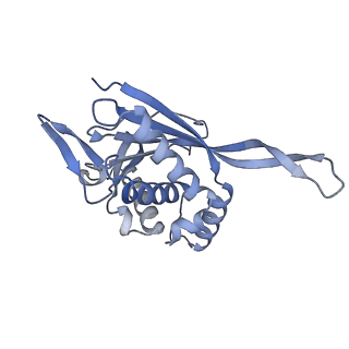 13845_7q5r_N_v1-3
Protein community member pyruvate dehydrogenase complex E2 core from C. thermophilum