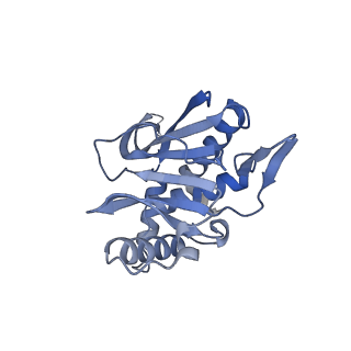 13845_7q5r_PA_v1-3
Protein community member pyruvate dehydrogenase complex E2 core from C. thermophilum