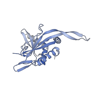 13845_7q5r_P_v1-3
Protein community member pyruvate dehydrogenase complex E2 core from C. thermophilum