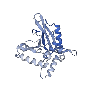 13845_7q5r_QA_v1-3
Protein community member pyruvate dehydrogenase complex E2 core from C. thermophilum