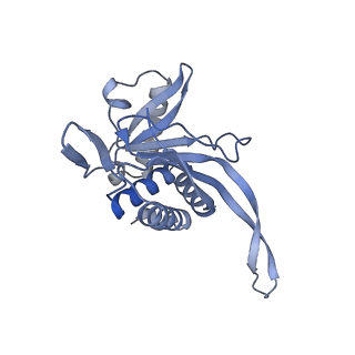 13845_7q5r_Q_v1-3
Protein community member pyruvate dehydrogenase complex E2 core from C. thermophilum