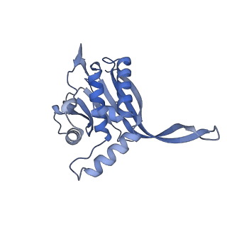 13845_7q5r_RA_v1-3
Protein community member pyruvate dehydrogenase complex E2 core from C. thermophilum