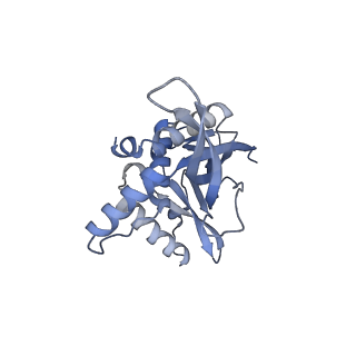 13845_7q5r_SA_v1-3
Protein community member pyruvate dehydrogenase complex E2 core from C. thermophilum