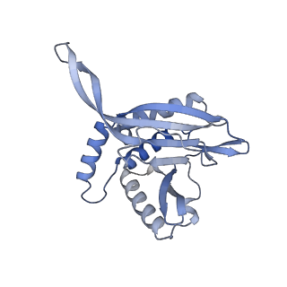 13845_7q5r_TA_v1-3
Protein community member pyruvate dehydrogenase complex E2 core from C. thermophilum
