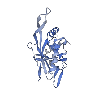 13845_7q5r_T_v1-3
Protein community member pyruvate dehydrogenase complex E2 core from C. thermophilum