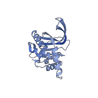 13845_7q5r_UA_v1-3
Protein community member pyruvate dehydrogenase complex E2 core from C. thermophilum