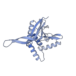 13845_7q5r_VA_v1-3
Protein community member pyruvate dehydrogenase complex E2 core from C. thermophilum