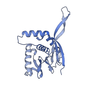 13845_7q5r_V_v1-3
Protein community member pyruvate dehydrogenase complex E2 core from C. thermophilum