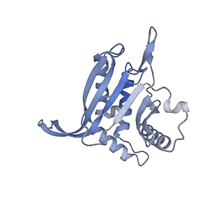 13845_7q5r_WA_v1-3
Protein community member pyruvate dehydrogenase complex E2 core from C. thermophilum