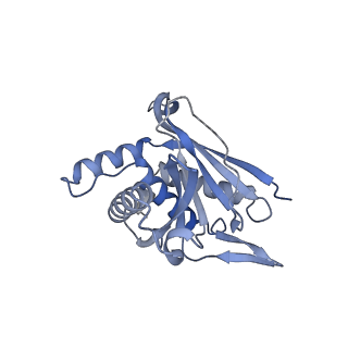 13845_7q5r_W_v1-3
Protein community member pyruvate dehydrogenase complex E2 core from C. thermophilum