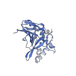 13845_7q5r_XA_v1-3
Protein community member pyruvate dehydrogenase complex E2 core from C. thermophilum