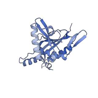 13845_7q5r_X_v1-3
Protein community member pyruvate dehydrogenase complex E2 core from C. thermophilum