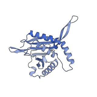 13845_7q5r_YA_v1-3
Protein community member pyruvate dehydrogenase complex E2 core from C. thermophilum