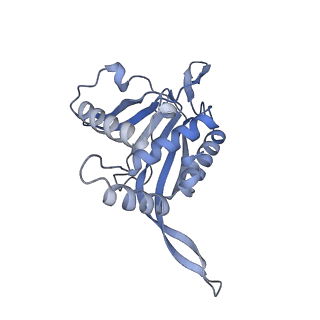 13845_7q5r_Y_v1-3
Protein community member pyruvate dehydrogenase complex E2 core from C. thermophilum