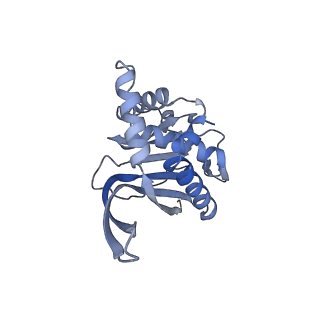 13845_7q5r_ZA_v1-3
Protein community member pyruvate dehydrogenase complex E2 core from C. thermophilum