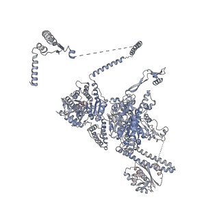 13846_7q5s_A_v1-3
Protein community member fatty acid synthase complex from C. thermophilum