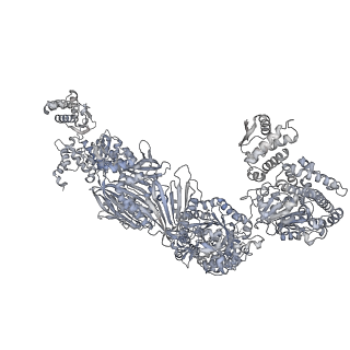13846_7q5s_B_v1-3
Protein community member fatty acid synthase complex from C. thermophilum
