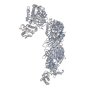 13846_7q5s_C_v1-3
Protein community member fatty acid synthase complex from C. thermophilum
