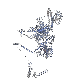 13846_7q5s_D_v1-3
Protein community member fatty acid synthase complex from C. thermophilum
