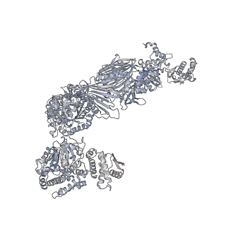 13846_7q5s_E_v1-3
Protein community member fatty acid synthase complex from C. thermophilum