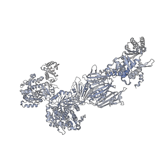 13846_7q5s_G_v1-3
Protein community member fatty acid synthase complex from C. thermophilum