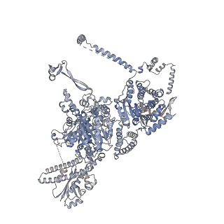 13846_7q5s_H_v1-3
Protein community member fatty acid synthase complex from C. thermophilum
