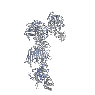 13846_7q5s_I_v1-3
Protein community member fatty acid synthase complex from C. thermophilum