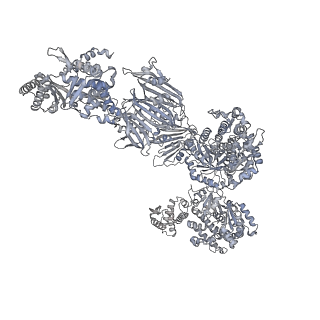 13846_7q5s_K_v1-3
Protein community member fatty acid synthase complex from C. thermophilum