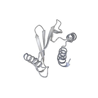 18179_8q5h_5_v1-0
Human KMN network (outer kinetochore)