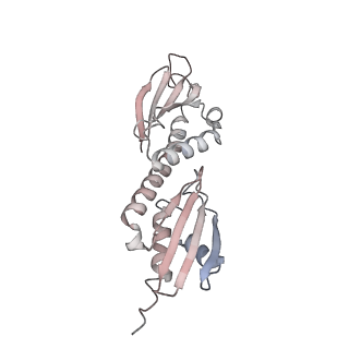 18179_8q5h_K_v1-0
Human KMN network (outer kinetochore)