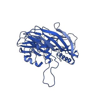 4461_6q5u_F_v1-4
High resolution electron cryo-microscopy structure of the bacteriophage PR772