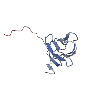 4461_6q5u_O_v1-4
High resolution electron cryo-microscopy structure of the bacteriophage PR772