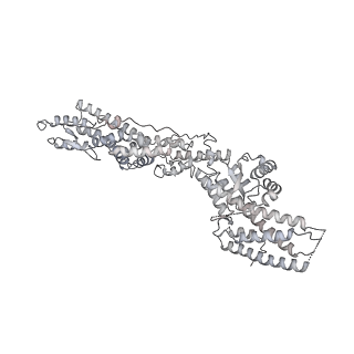 18181_8q62_A_v1-2
Early closed conformation of the g-tubulin ring complex