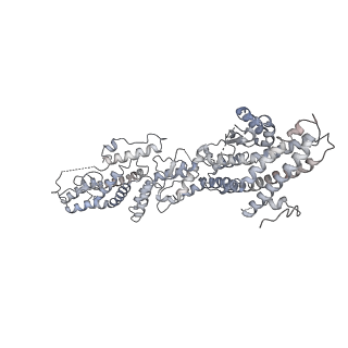 18181_8q62_C_v1-2
Early closed conformation of the g-tubulin ring complex