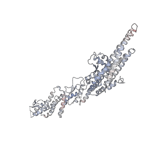 18181_8q62_D_v1-2
Early closed conformation of the g-tubulin ring complex