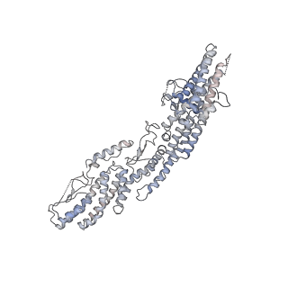 18181_8q62_E_v1-2
Early closed conformation of the g-tubulin ring complex