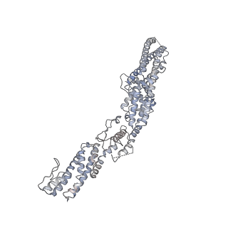 18181_8q62_F_v1-2
Early closed conformation of the g-tubulin ring complex