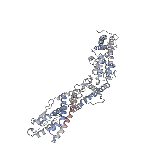 18181_8q62_G_v1-2
Early closed conformation of the g-tubulin ring complex