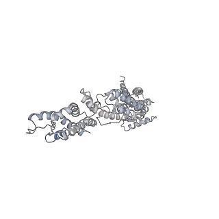 18181_8q62_I_v1-2
Early closed conformation of the g-tubulin ring complex