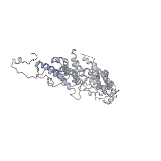 18181_8q62_J_v1-2
Early closed conformation of the g-tubulin ring complex