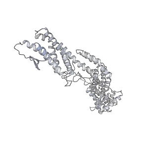 18181_8q62_K_v1-2
Early closed conformation of the g-tubulin ring complex